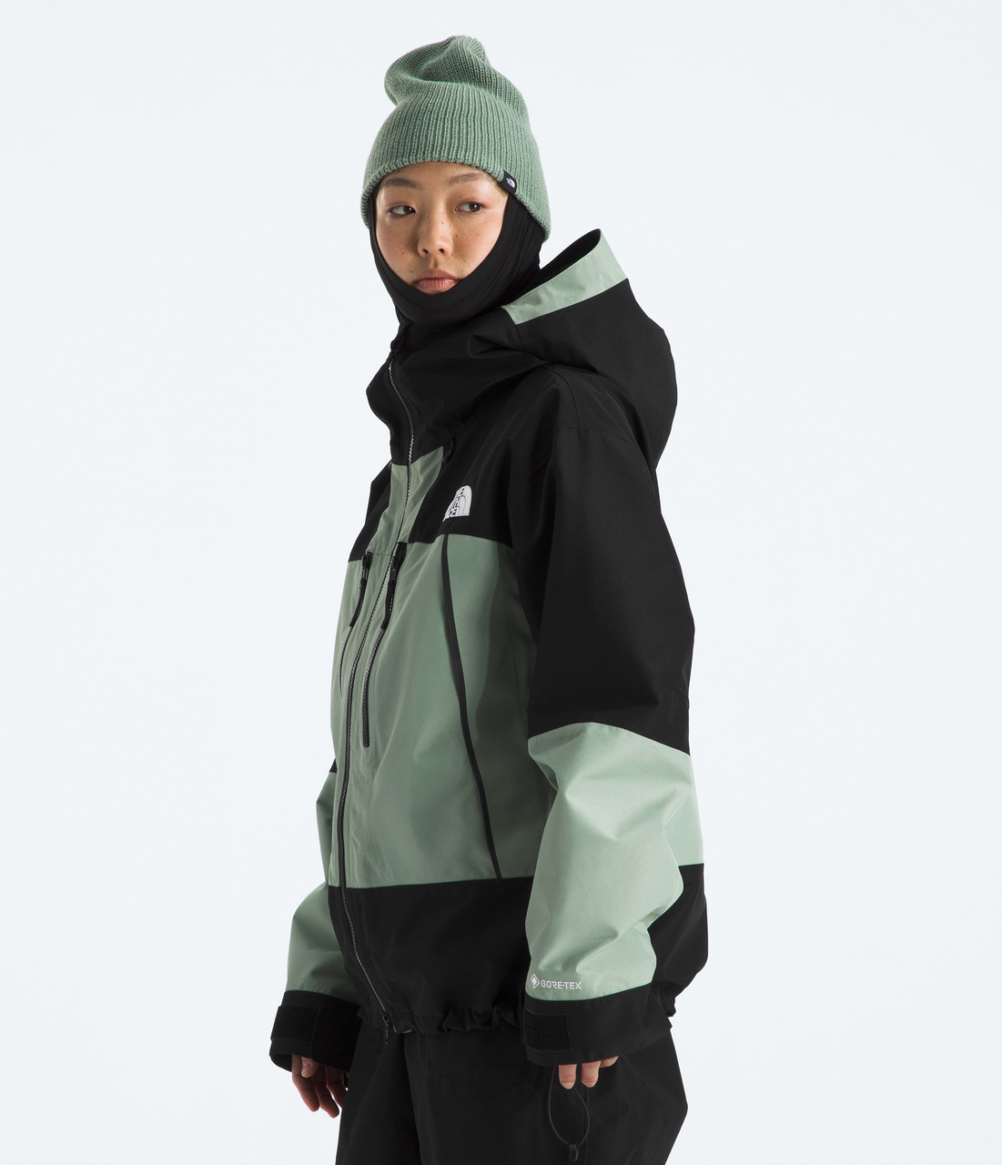 The North Face GTX Hex Jacket - Women's | MEC