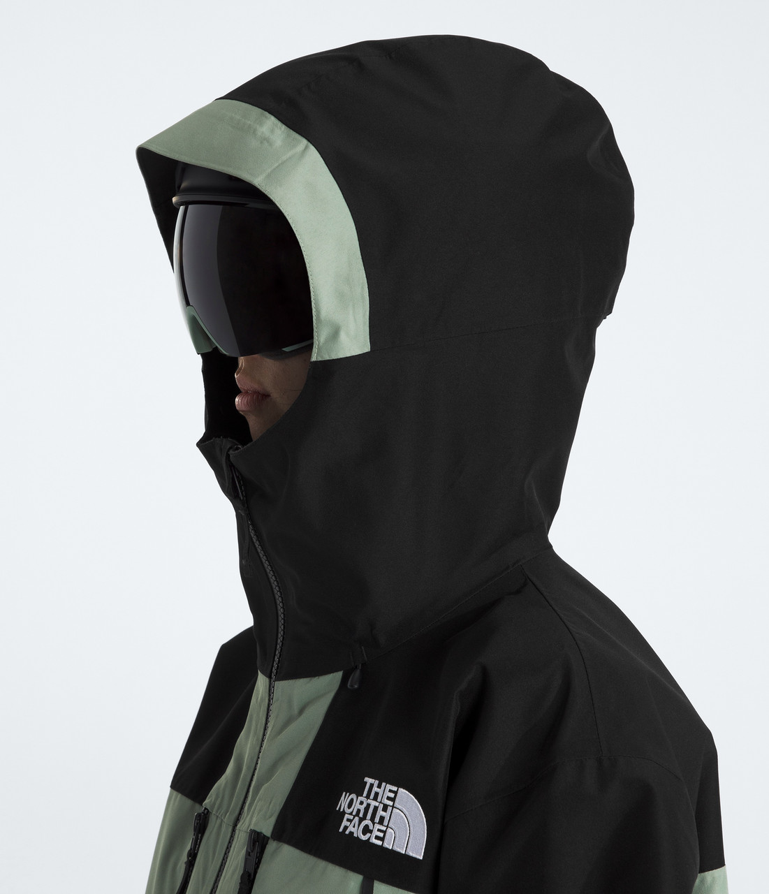 The North Face GTX Hex Jacket - Women's | MEC