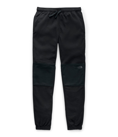 North face sales glacier pant