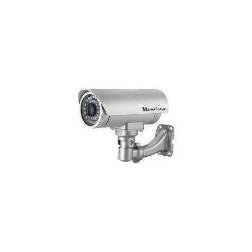 IP Network Cameras