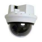 IP Cameras