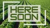 Coming Soon: More than The Cooks Book