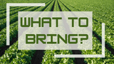 What Should a new Chef Bring?