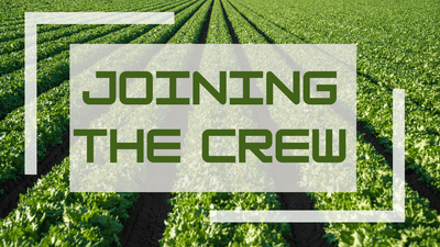Joining the Crew - Becoming a Chef