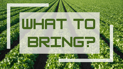 What Should a new Chef Bring?