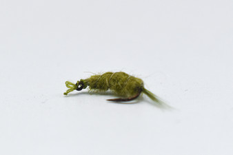 The Scud Olive Fishing Fly