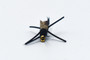 Rubber Leg Stonefly Rubber Leg Stonefly