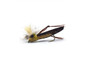 Parachute Hopper Fishing Fly Parachute Hopper Fishing Fly