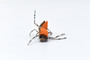 Foam Hopper Tan Dry Fly Fishing Flies Foam Hopper Tan Dry Fly Fishing Flies