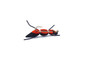 Foam Hopper Red Dry Fly Fishing Lure Foam Hopper Red Dry Fly Fishing Lure