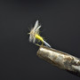 Pale Morning Dun Fishing Fly Pale Morning Dun Fishing Fly