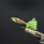 Rainbow Trout Minnow Fly Rainbow Trout Minnow Fly