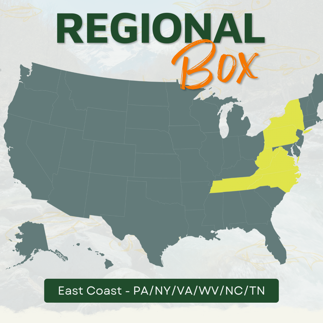 East Coast Regional Fly Box