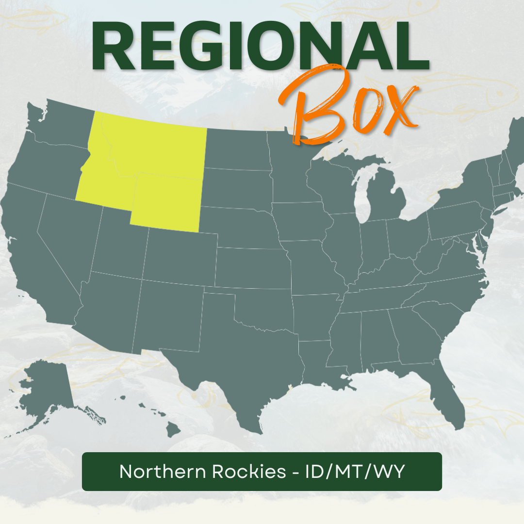 Northern Rockies Regional Fly Box