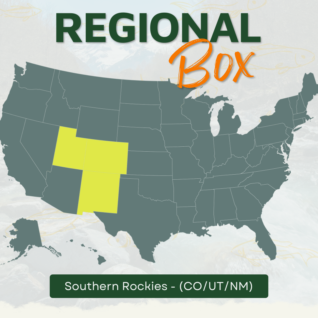 Southern Rockies Regional Fly Box