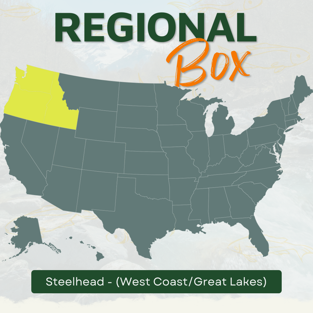 Steelhead Regional Fly Box