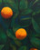 ryan mrozowski untitled orange