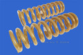 Grand Vitara Rear Coil Springs SWB