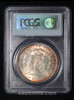 PCGS MS63 1897 Morgan Silver Dollar Pitted Reverse California VAM-6A, A Top 100 Variety toned