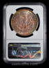 NGC MS64 1921-S Morgan Dollar - Amazing toning!!!
