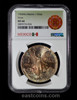 NGC MS66 1984 Mo Mexico 1 Silver Onza, toned!