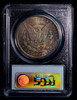 PCGS MS65 1879-S Morgan Dollar - fantastic toning both side