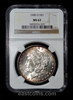 NGC MS63 1900 O Silver Morgan Dollar $1 rim toning