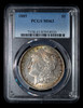 PCGS MS63 1885 MORGAN DOLLAR ~ PRETTY BLUE/GOLD RIM TONING ON BOTH SIDES!