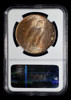 NGC MS63 1922 Silver Peace Dollar Dark Toning