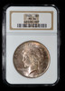 NGC MS64 1923-P SILVER PEACE DOLLAR - Light pinkish toning both side!