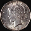 NGC MS64 1925-P Silver Peace Dollar - Greyish Blackish toning
