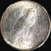 NGC MS64 1925-P Silver Peace Dollar - Greyish Blackish toning