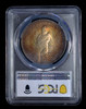 PCGS MS62 1924 Peace Silver Dollar beautiful Toning both side