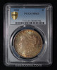 PCGS MS63 1882 Morgan Dollar - toned both side