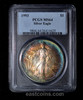 PCGS MS64 1993 American Silver Eagle Rainbow Toning Both Sides!!!