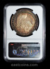 NGC MS65 1879 GO SM Mexico 8 Reales scares mint, nice toning!!