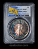 PCGS MS67 1989 American Silver Eagle Monster Toning