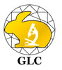 GLC