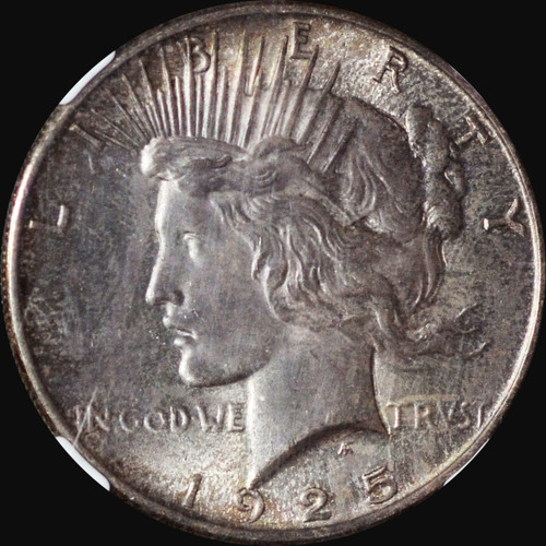 NGC MS64 1925-P Silver Peace Dollar - Greyish Blackish toning