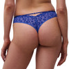 Back of the Chantelle Pulp Girls Tanga Knicker in sailor blue