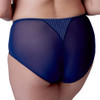 Back of the Berlei Beauty Stripe Deep Brief - Deep Blue