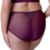Back of the Berlei Beauty Stripe Deep Brief - Fig