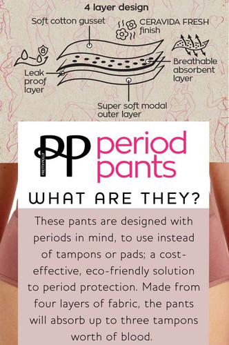 Product details of the Pretty Polly Period Pants Hipster Shorts