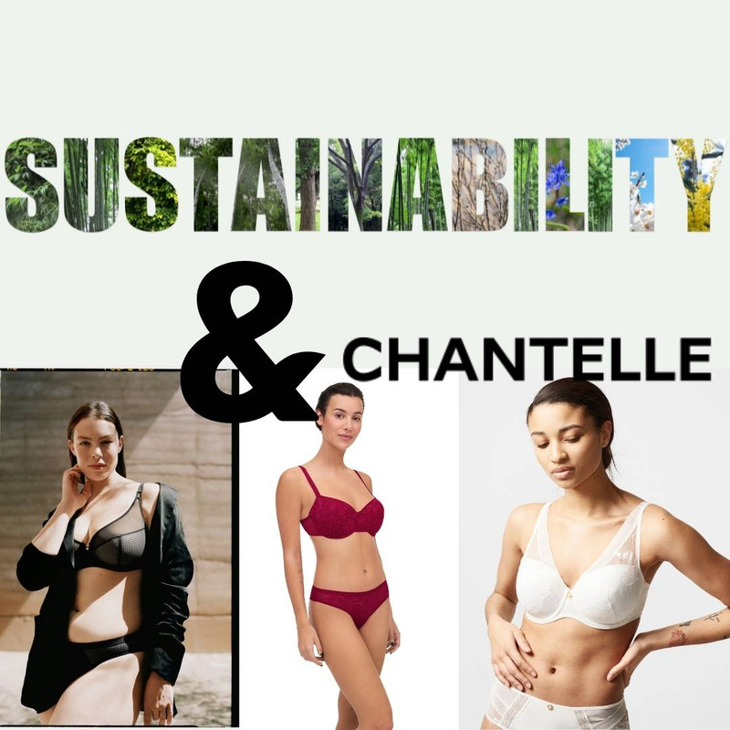 Sustainability and Chantelle Lingerie - Mysmartypants