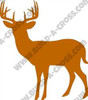 10 Point Buck WS