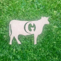 Cow Monogram Beltorian Letter WS