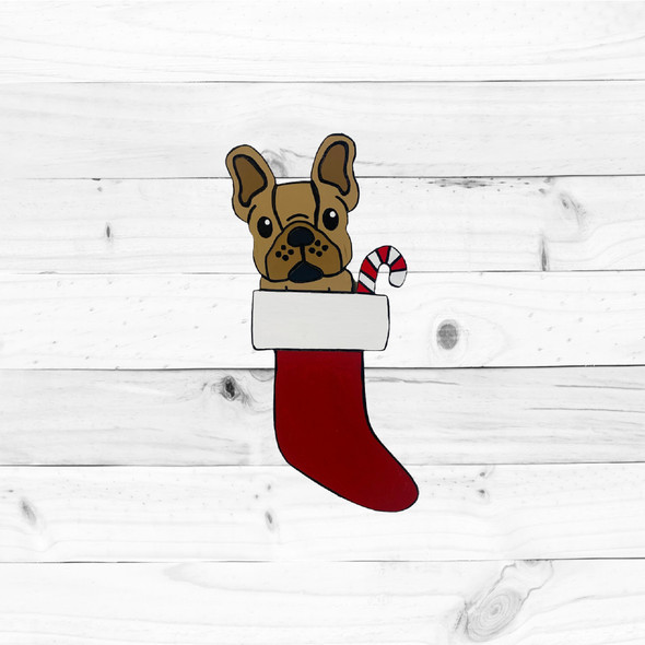 finished Frenchie in Stocking