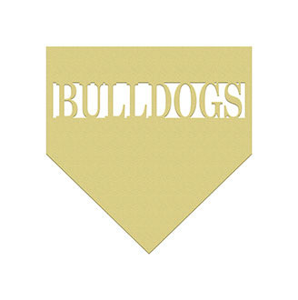 Home Plate, Custom Family Name Frame, Unfinished Wooden Sign WS