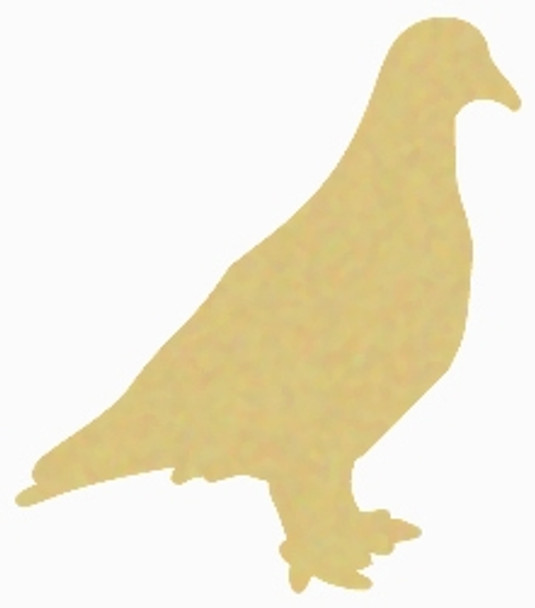 Dove Bird WS