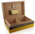 Cohiba Trama Limited Edition Humidor